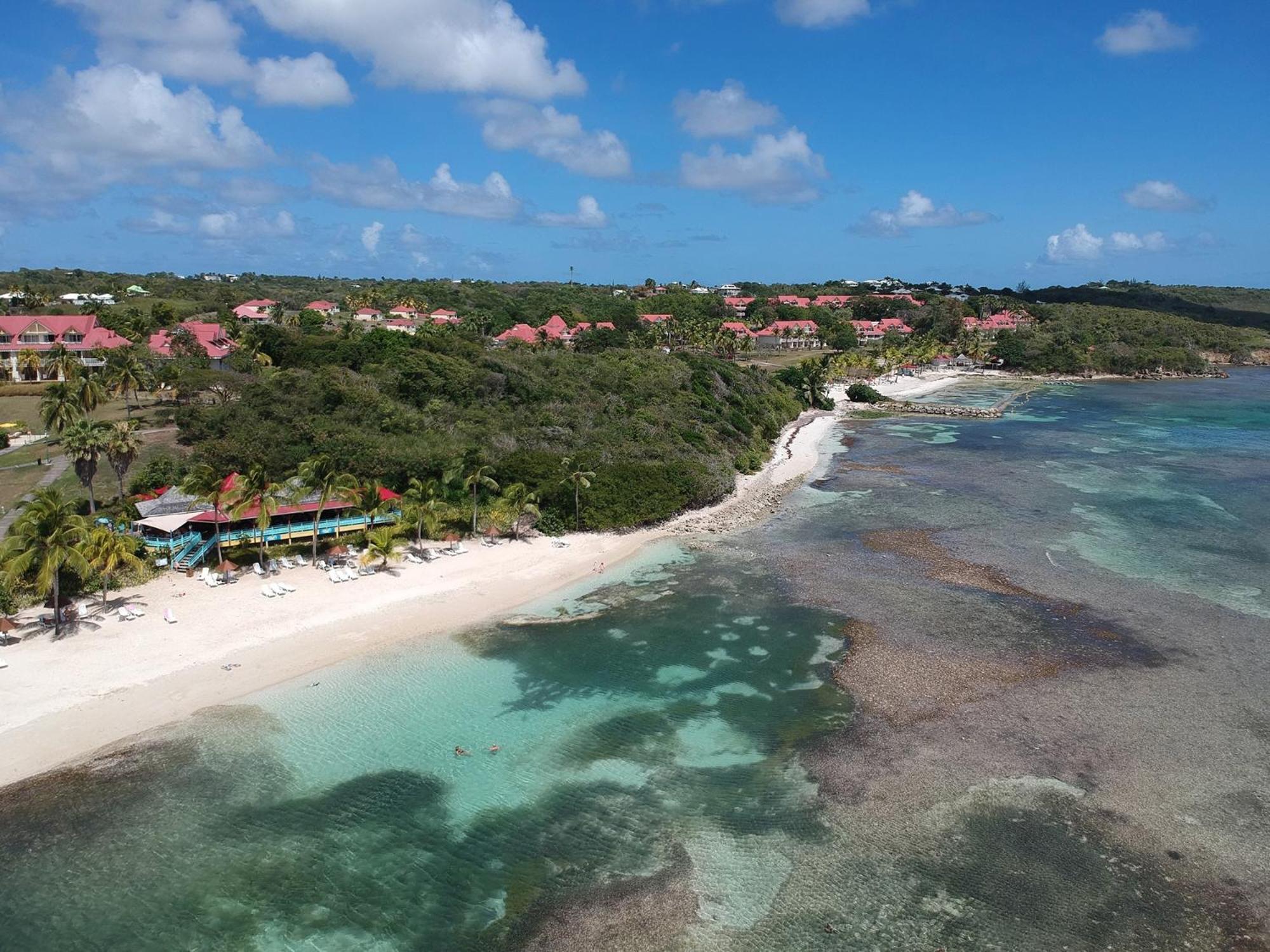 Studio Olia A P&V - Plages, Piscines Et Vue Mer! Sainte-Anne  Eksteriør billede